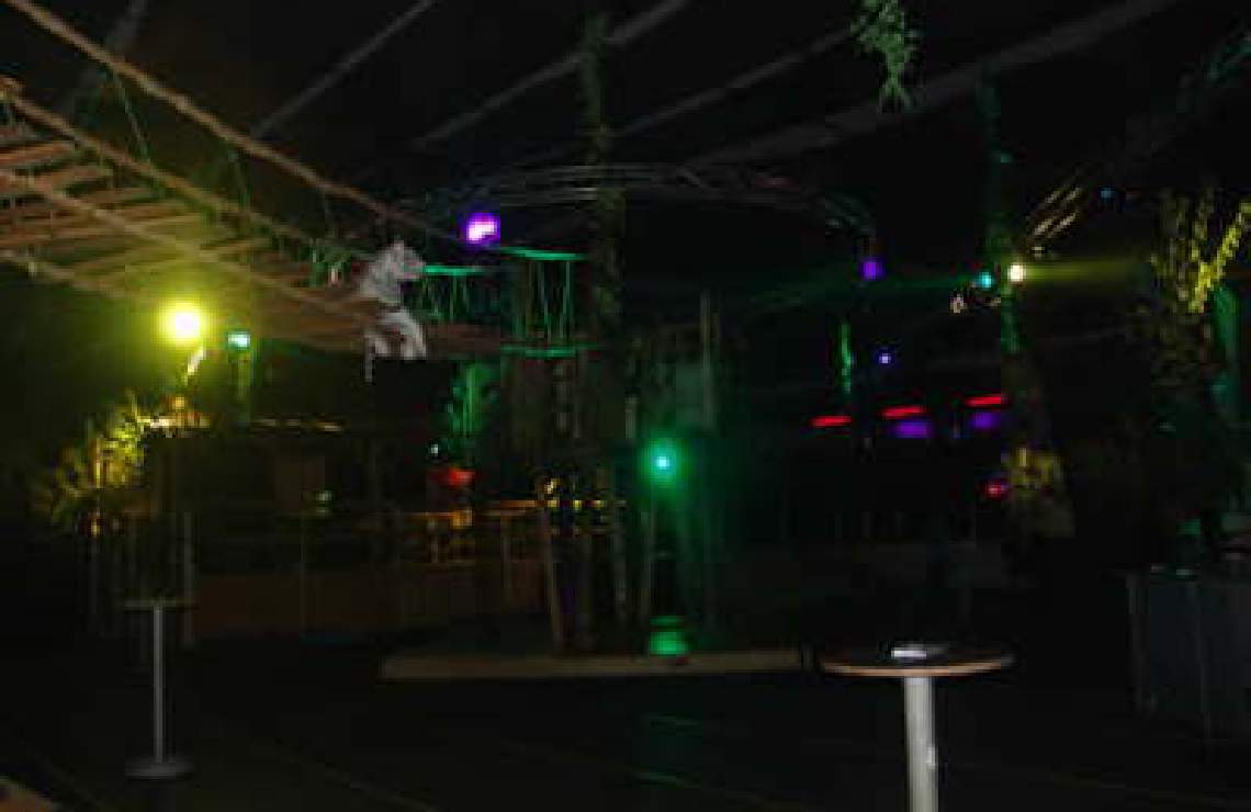 /event/palmania06_hu31a1f59db5729a6a93d7bfbde818d03b_11088_1140x740_fill_q65_box_center.jpg